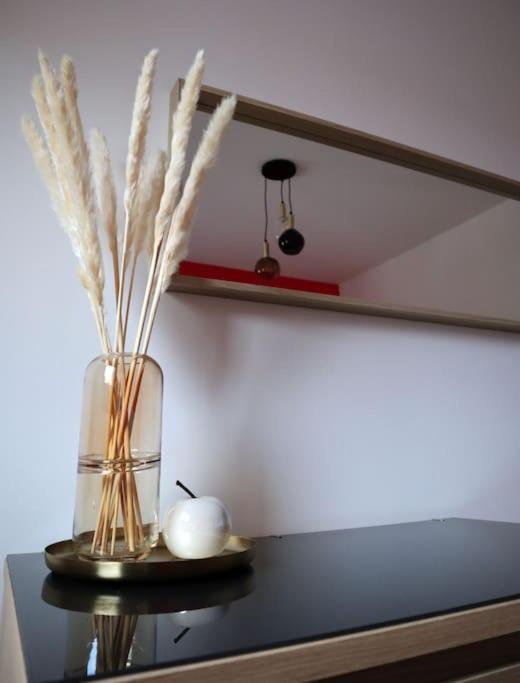 Superbe Duplex En Hypercentre Amiens