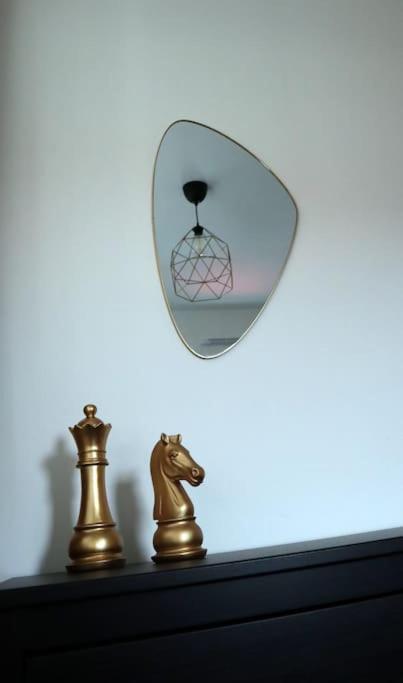 Appartement Superbe Duplex En Hypercentre Amiens